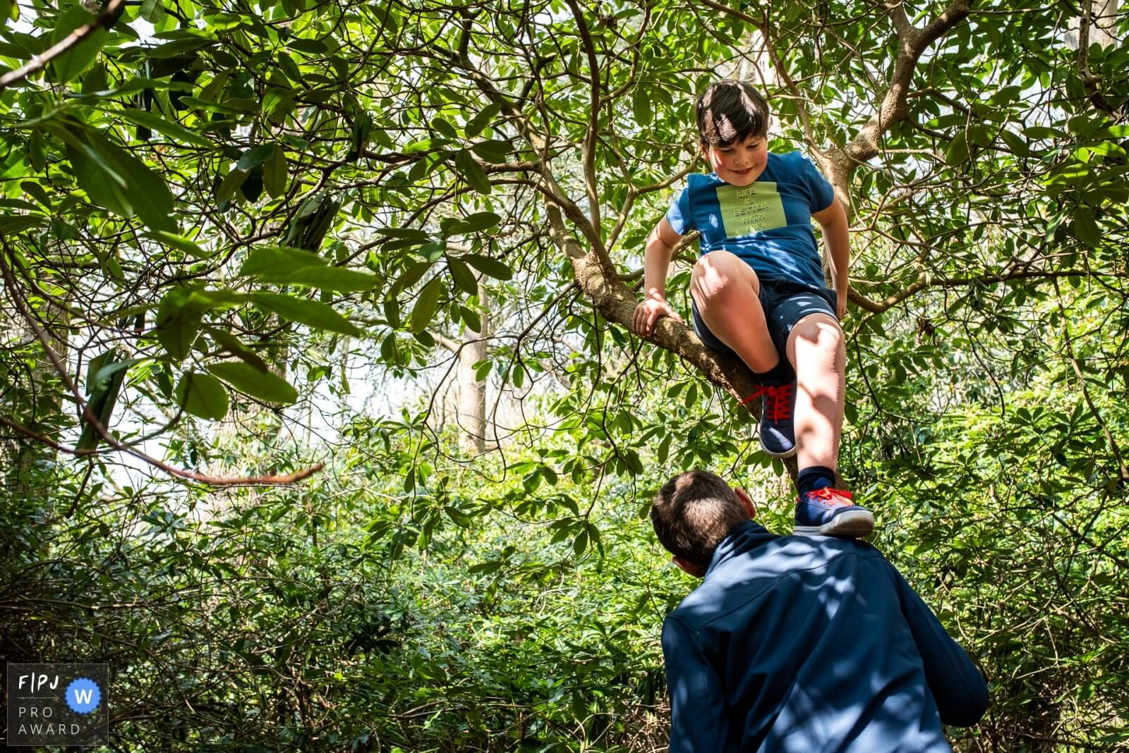 een papa helpt zijn zoon uit een boom tijdens een familiereportage op locatie