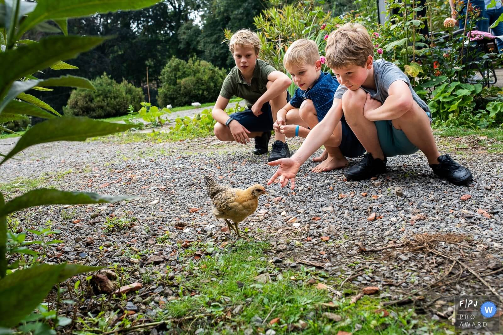 jongens lokken een kip tijdens een day in the life reportage