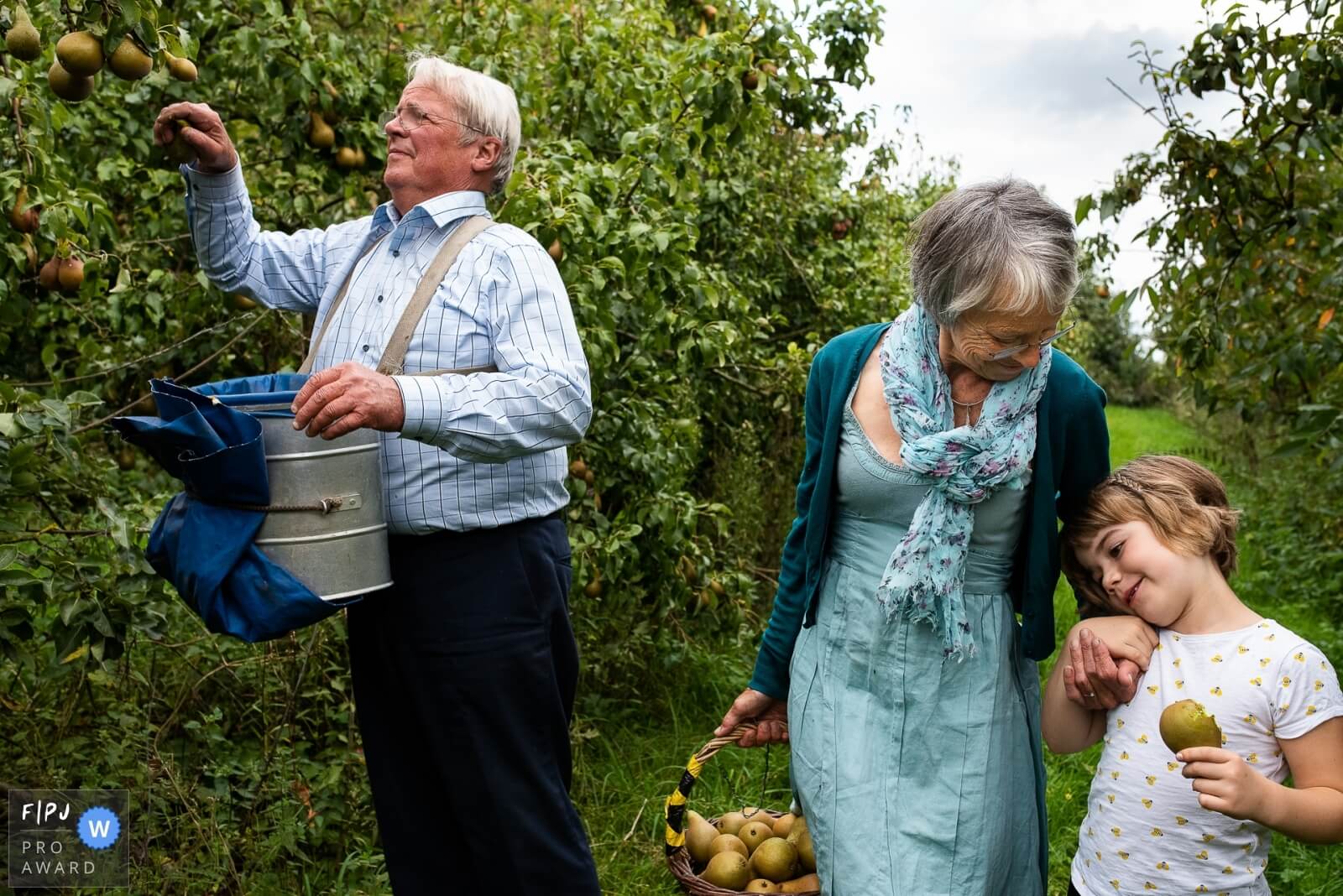grotouders en kleinkind plukken samen peren tijdens familiereportage die ze cadeau kregen