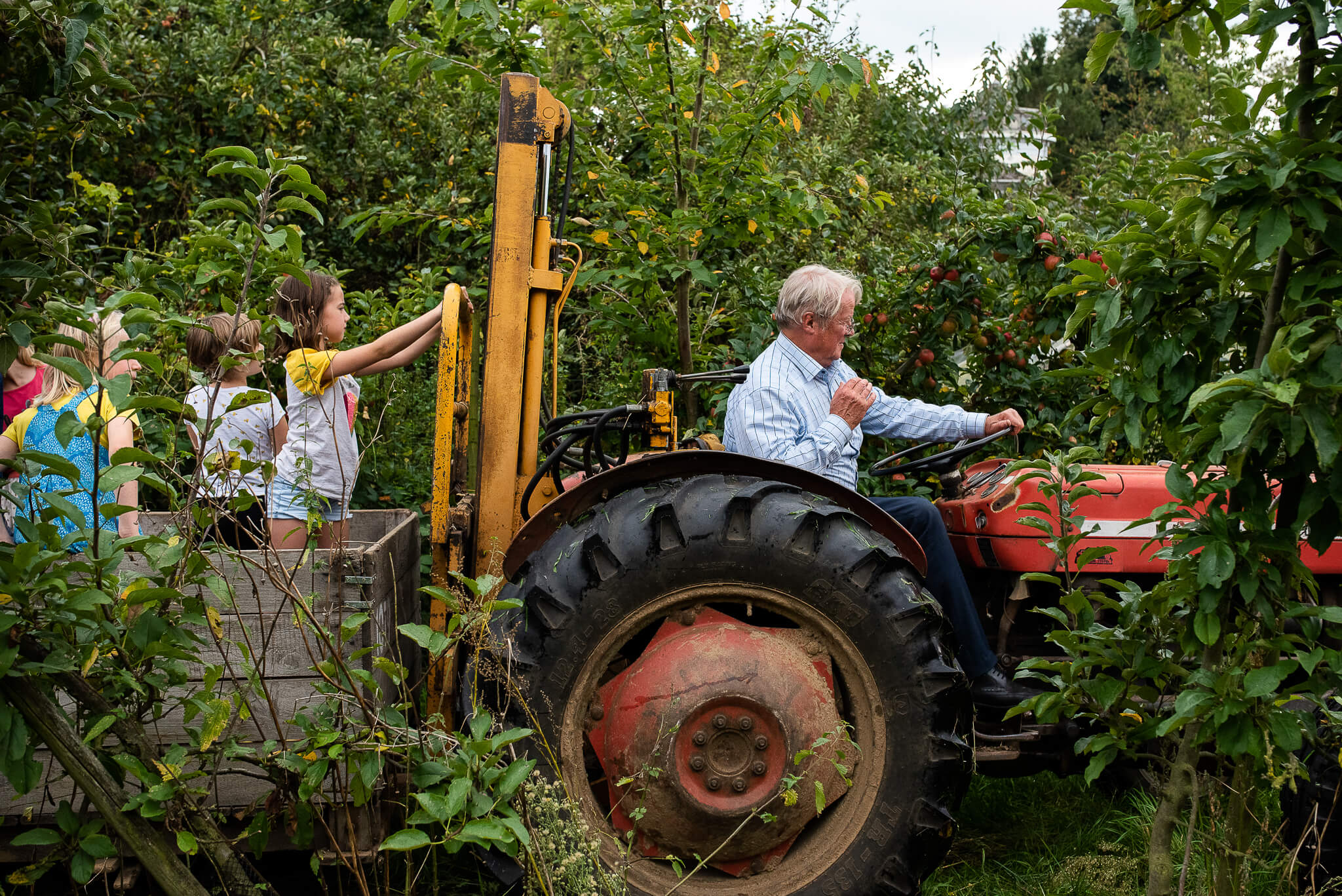 opa rijdt met tractor door boomgaard tijdens fotoshoot